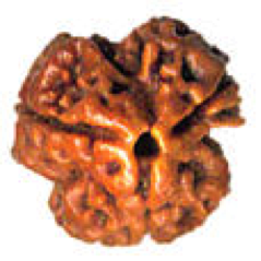 Mukhi3