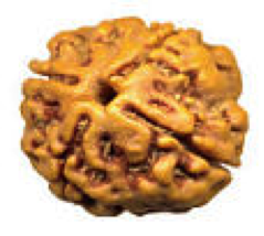 Mukhi4