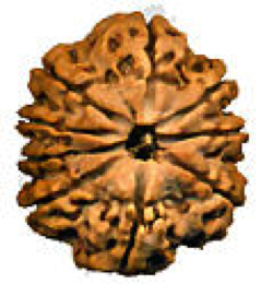 Mukhi9